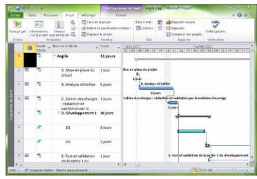 MS Project