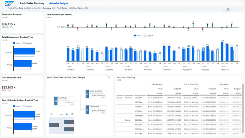 SAP Analytics Cloud (SAC)