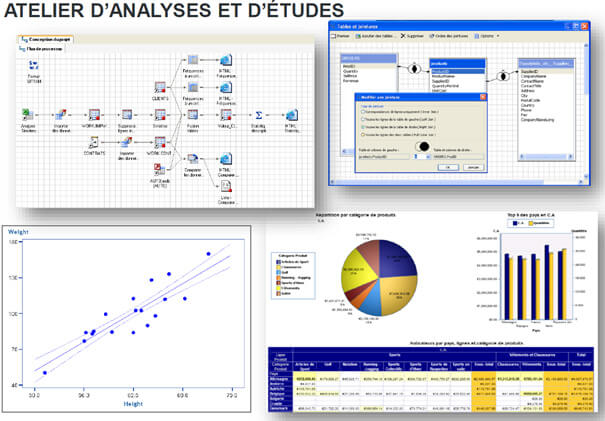 SAS Enterprise Guide