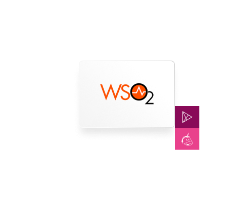 Wso2 Wso2