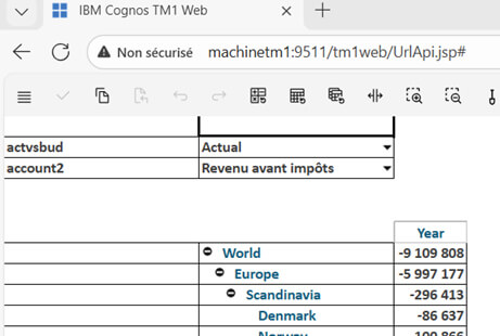 Planning Analytics - Les API URL de Tm1Web