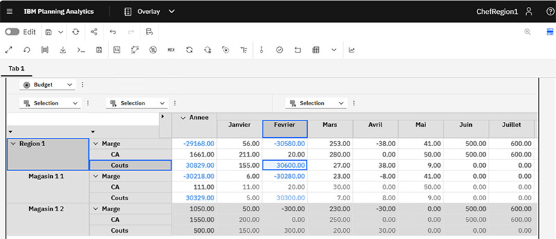 Planning Analytics - Sécurités et habilitations