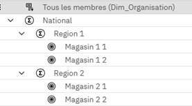 Planning Analytics - La gestion des workflows au sein du Workspace