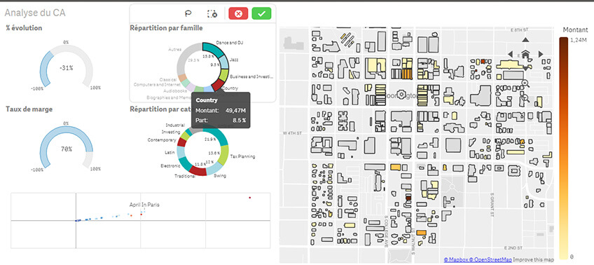 qlik analyse du CA